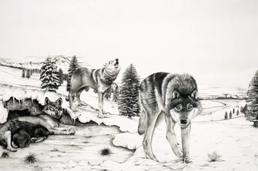 The World of Nature: The 