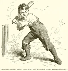 The Young Cricketer