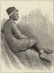 The Zulu War