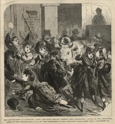 The Cattle Show at Islington