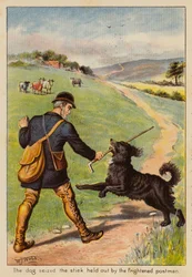 The dog seized the stick held out by the frightened postman