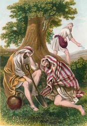 The enemy sowing tares