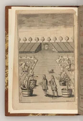 The Frontispiece of The City Gardener by Thomas Fairchild