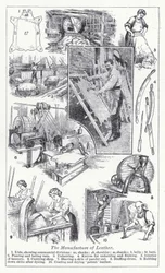 The manufacture of leather
