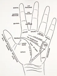 The Mount Aras of the Hand