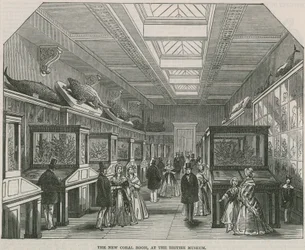 The New Coral Room at the British Museum