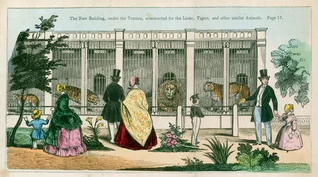 The new building, under the terrace, constructed for the lions, tigers and other similar animals