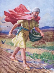 The sower, from The Bible Picture Book published by Thomas Nelson, c.1950