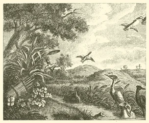 The two pots
