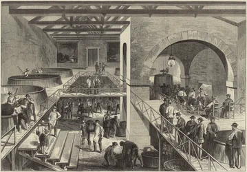 The Vintage of Medoc