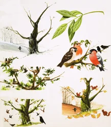 The Year of the Tree