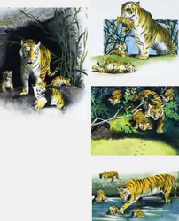 Tiger and Cubs