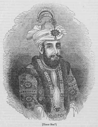 Timur Bec
