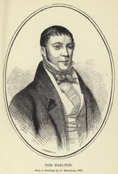 Tom Shelton