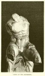 Torso of the Belvedere