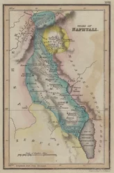 Tribe of Naphtali