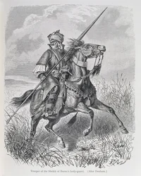 Trooper of the Sheikh of Bornu