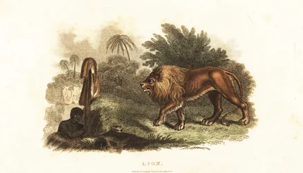 Unknown Image