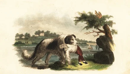 Unknown Image