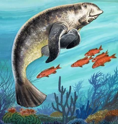 Undersea Creatures