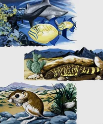 Underwater Creatures and Mouse