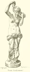 Venus Anadyomene