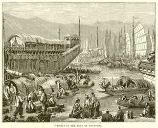 Vessels in the Port of Shanghai