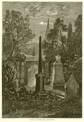 View in Highgate Cemetery