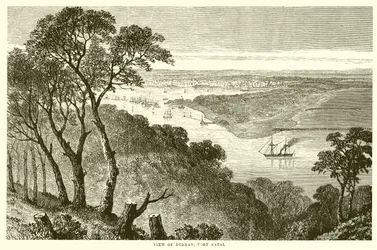 View of Durban, Port Natal