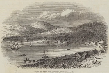 View of Port Wellington, New Zealand