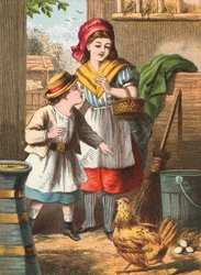 Visiting the chickens