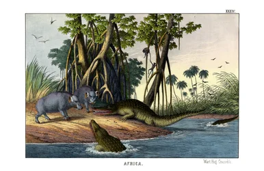 Warthog