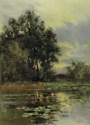 Water Lilies