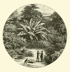 West Africa