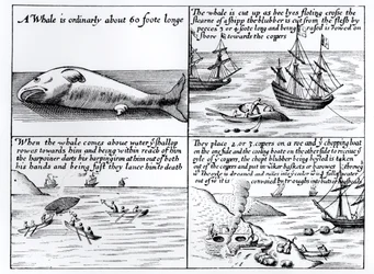 Whaling at Spitzbergen in 1611