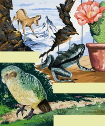 Wildlife Montage