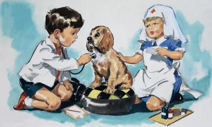 Young Vets