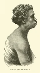 Youth of Surinam