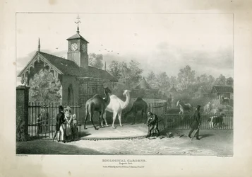 Zoological Gardens, Regents Park