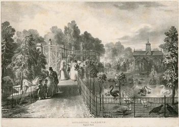 Zoological Gardens, Regents Park