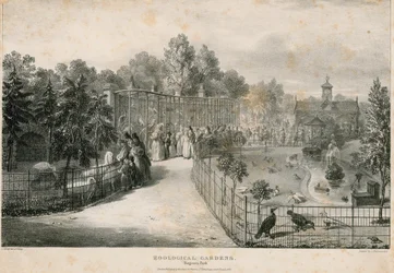 Zoological Gardens, Regents Park