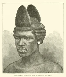 Zulu Dandy, Showing a Mode of Dressing the Hair