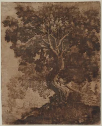 Tree in a Landscape