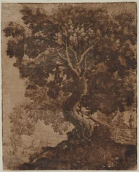 Tree in a Landscape, mid 17th century