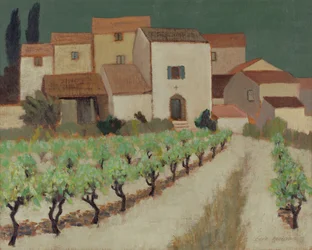 Vineyard, Provence