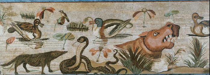 Aquatic and Other Animals