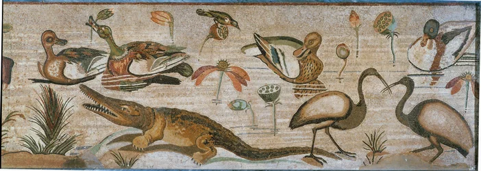 Aquatic Animals, Part of a Mosaic Band from Pompeii, Italy