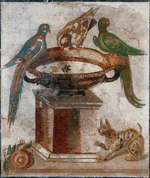 Birds Drinking from a Bird-Bath