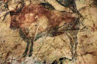Bison. Cave Painting from Altamira, Santander, Spain