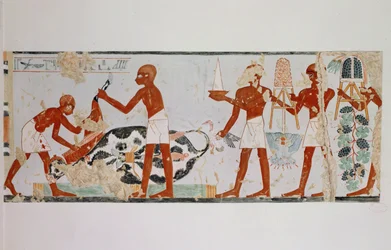 Butchers and bearers of offerings